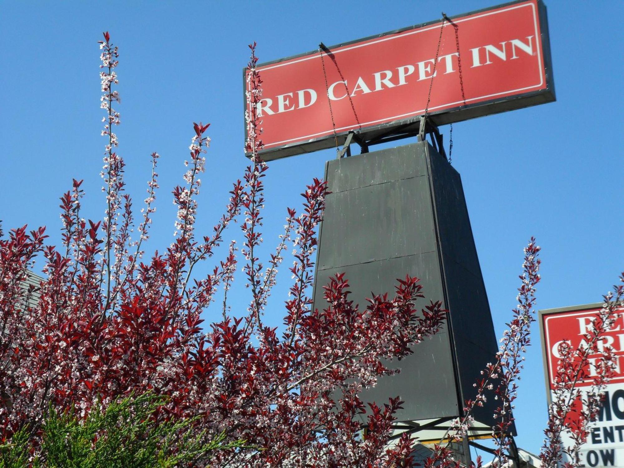 Red Carpet Inn Brooklawn Exterior photo